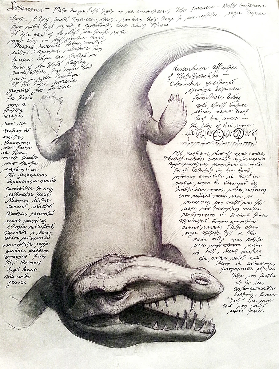 DAKOSAURUS–Graphite, oil and ballpoint pen on paper. Reconstruction of the extinct marine Crocodylomorph, Dakosaurus . 