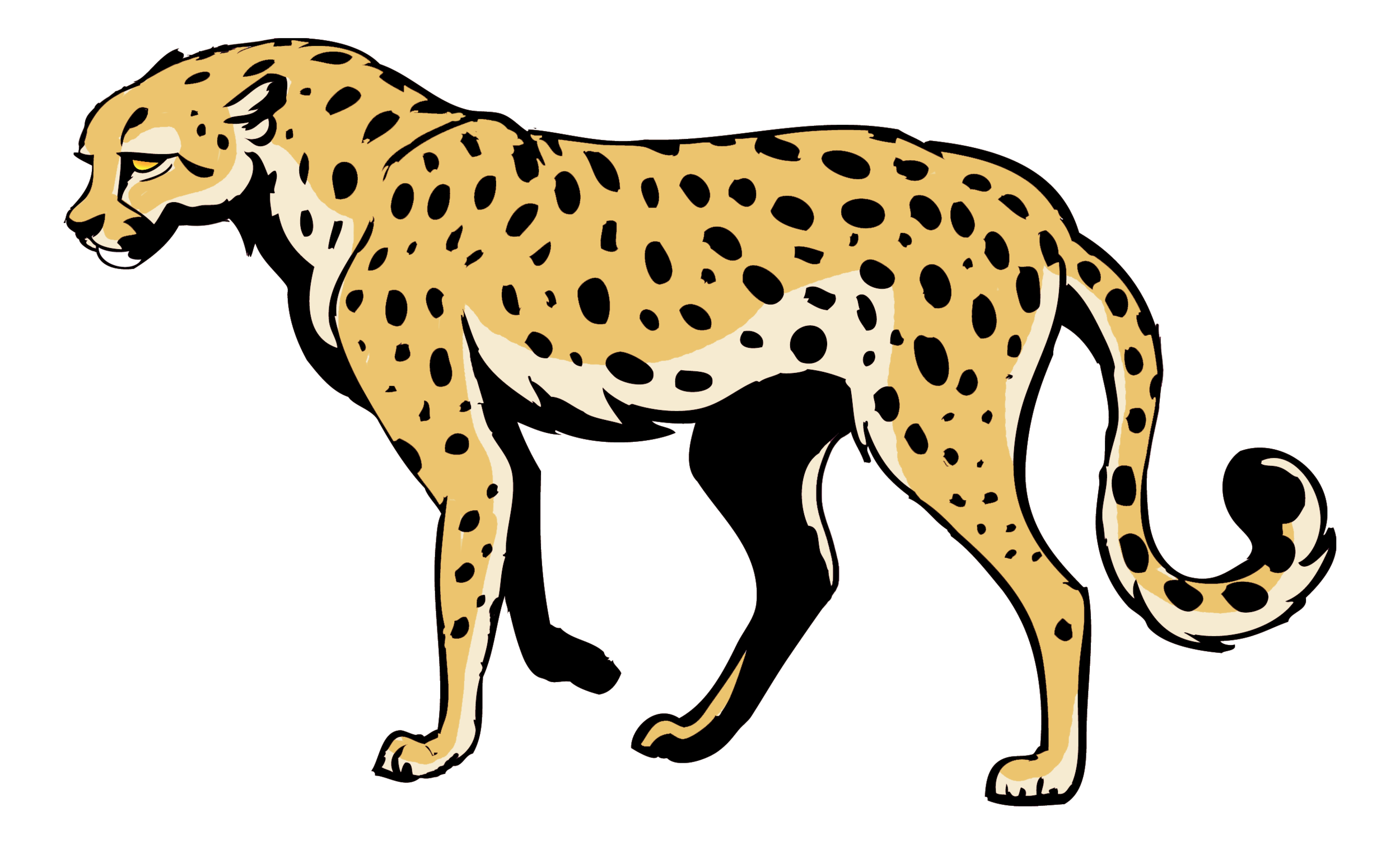 Leonardo Cartoon Art The Leopard