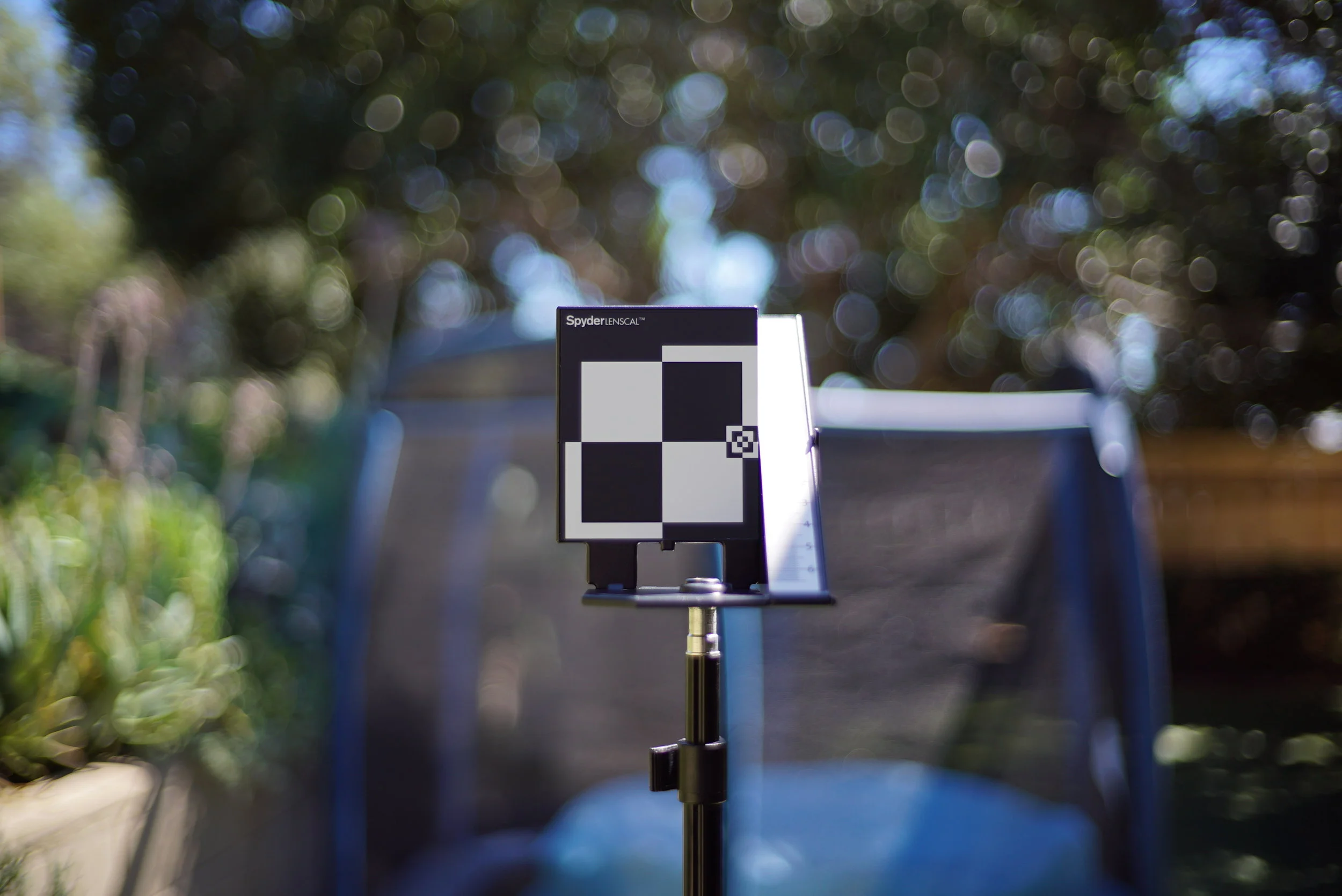Voigtlander 40mm f1.4 at f1.4 (wide open)