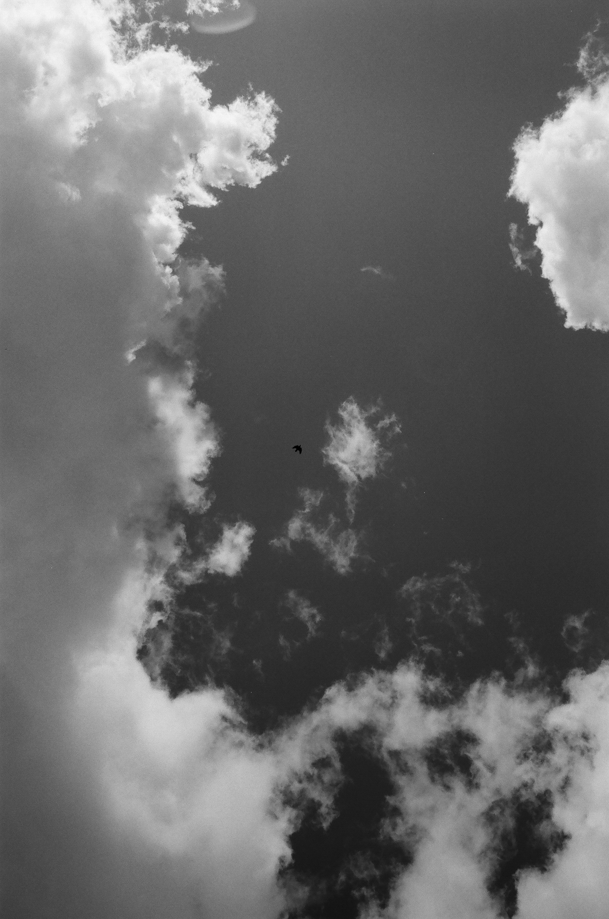 000134780014.jpg