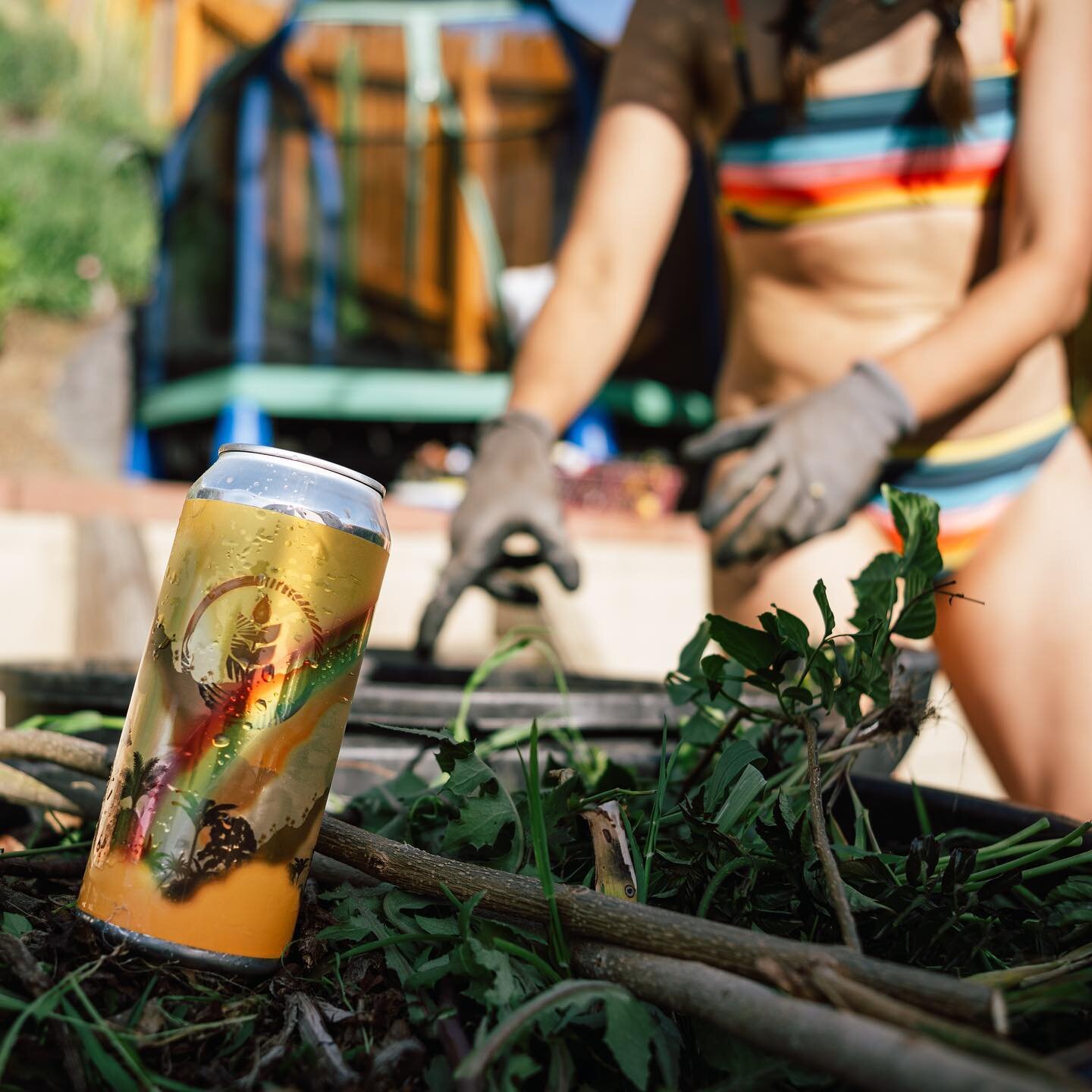 Spent yesterday&rsquo;s #Earthday tending and weeding the beautiful backyard we are so blessed to have. Of course we had to stop for a well earned break and chose @purebrewing #DIPAhazy for it. Speaking of Pure, San Diego is meeting at @purenorthpark