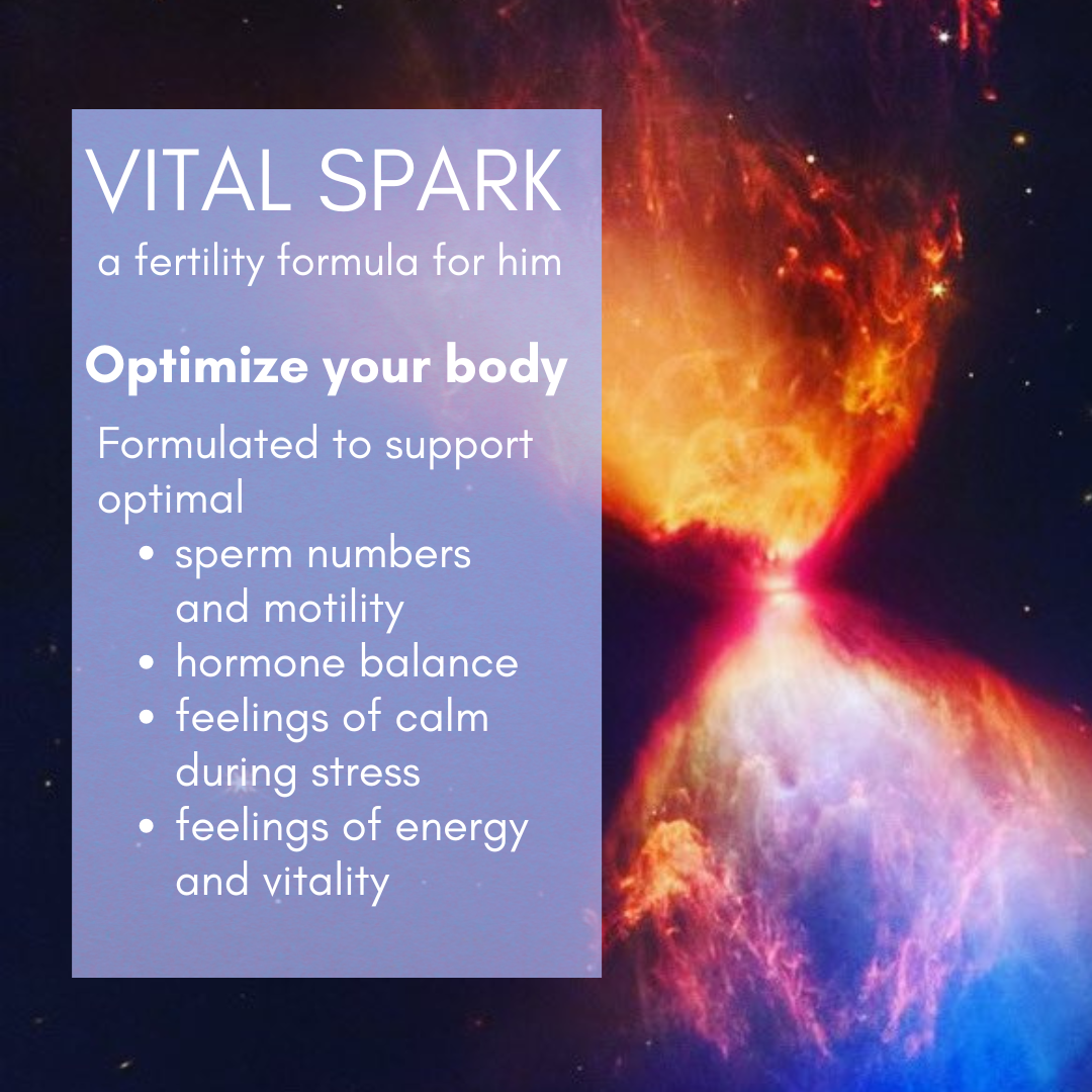 New! HBH Vital Spark, a fertility formula for him 50 ml