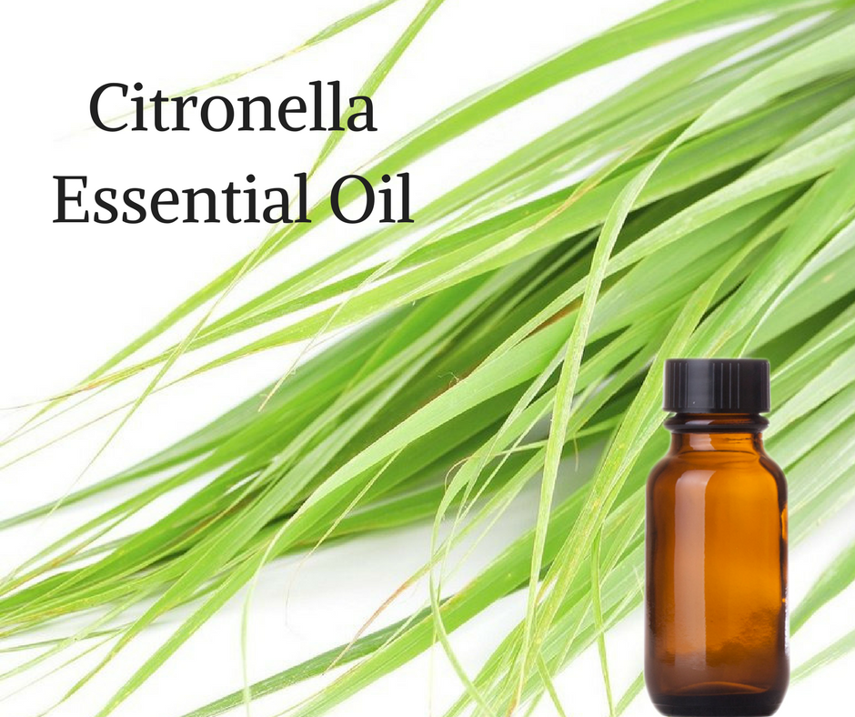 Pure Citronella Essential Oil, 30 ml 