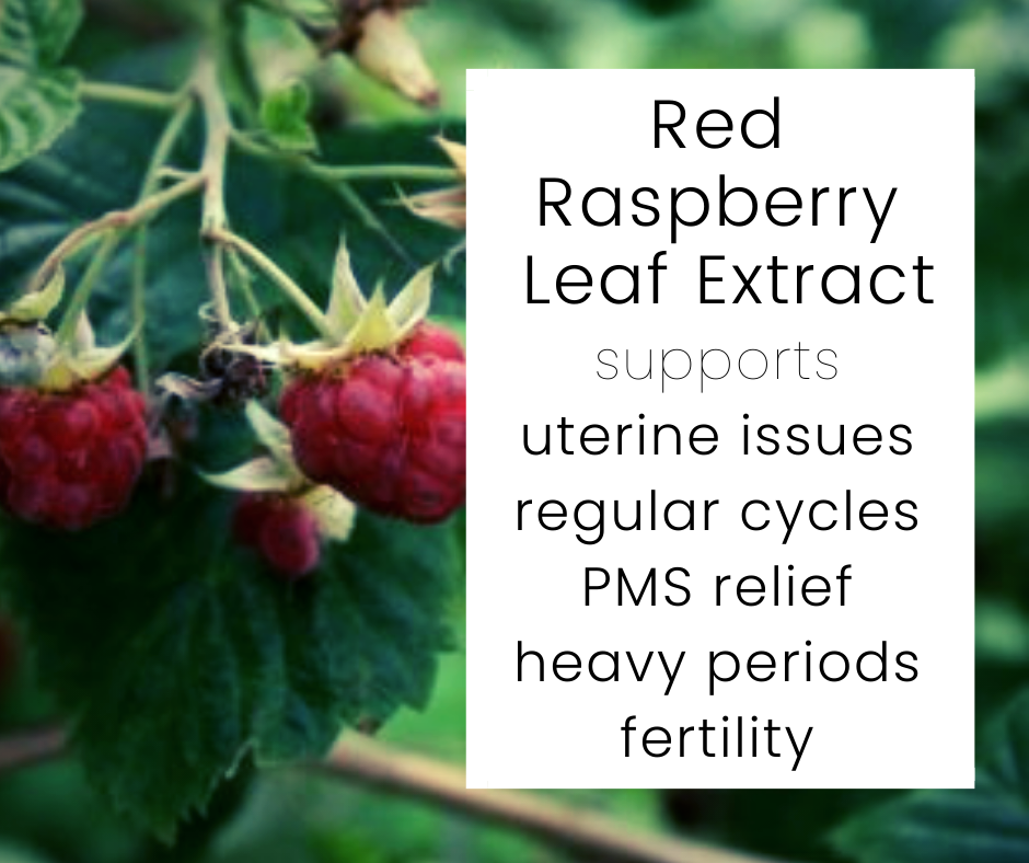 Red Raspberry Leaf Liquid HBH Red Raspberry Leaf Tea and Tinctures, 50 ml — Health Bestowing Hands