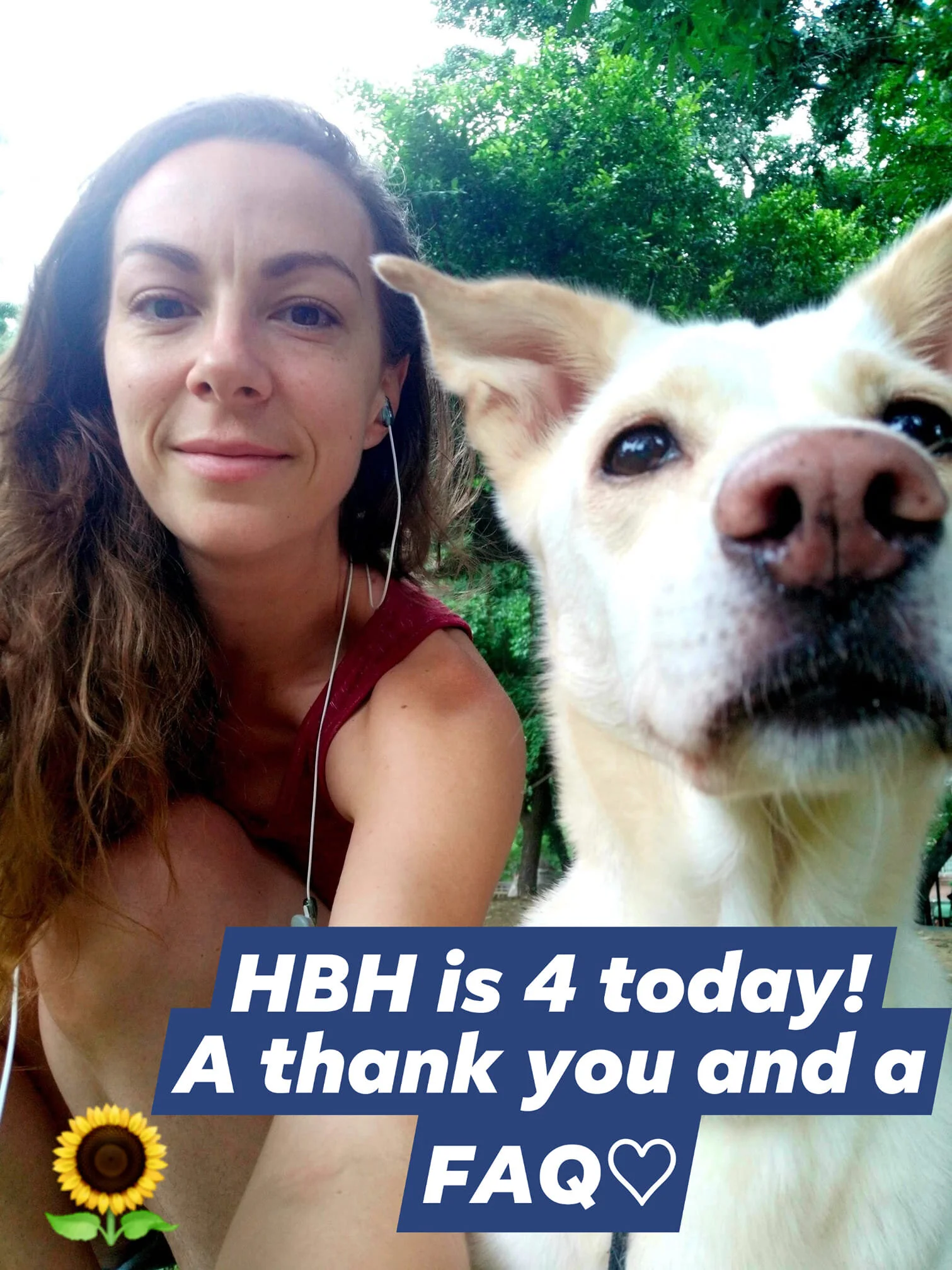 Why Health Bestowing Hands?