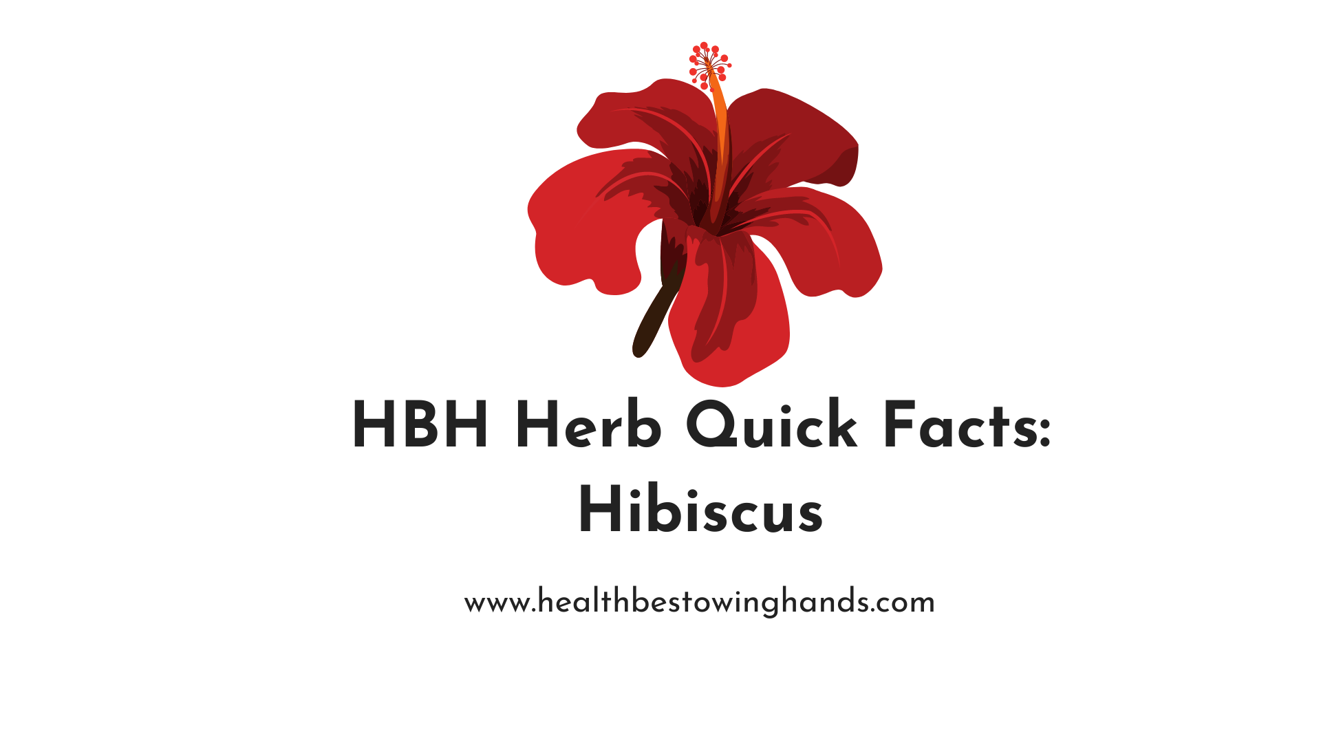 HBH Herb Quick Pacts: Hibiscus