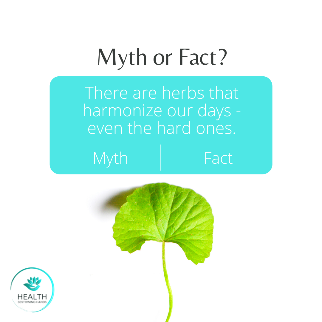 Myth or Fact: There Are Plant Medicines That Harmonize Our Days