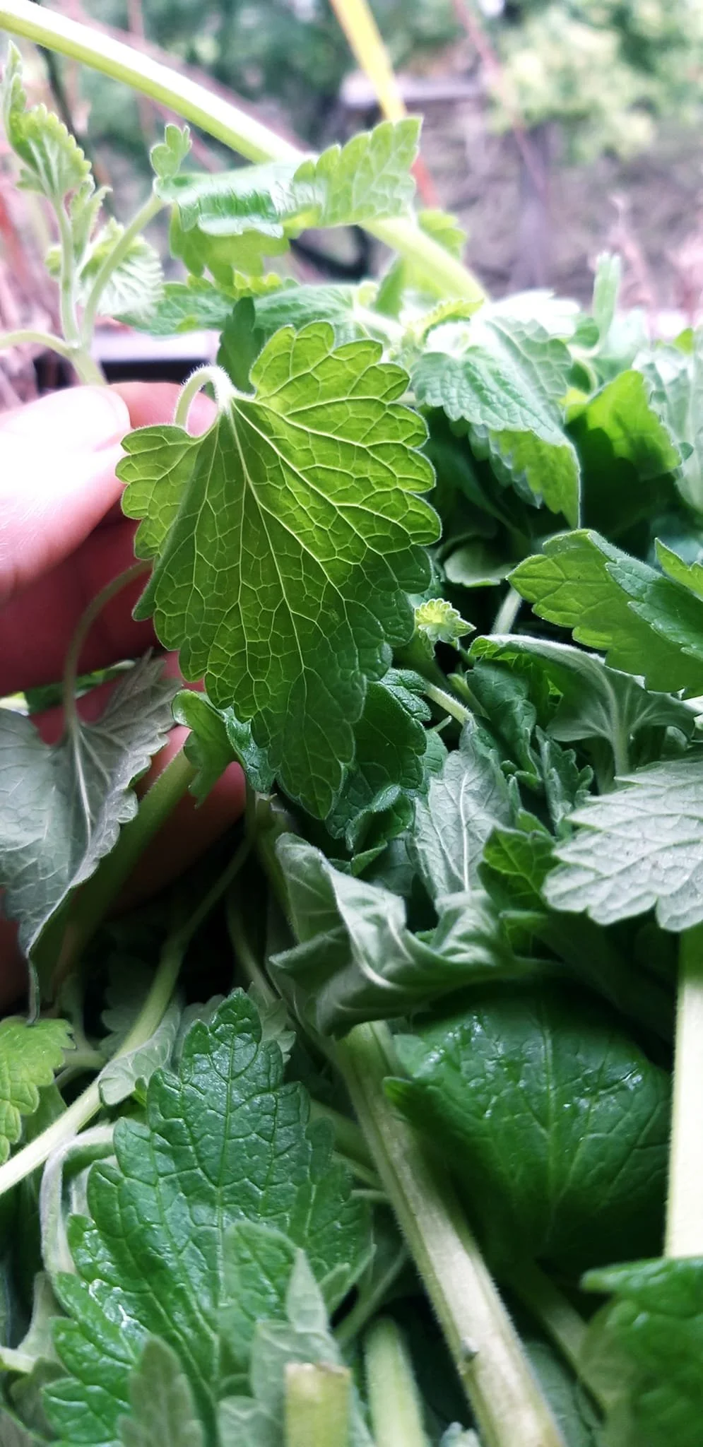 I Feel Like This Isn't Said Enough