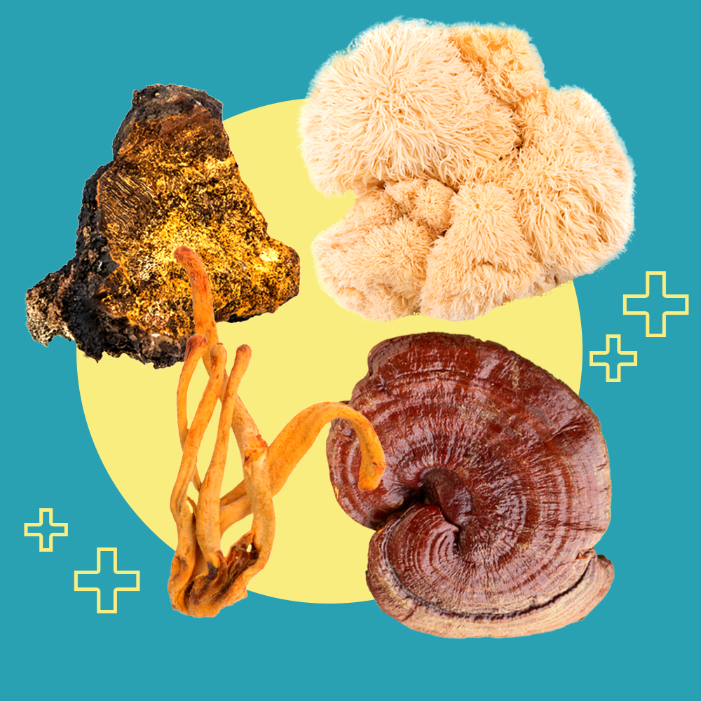 delish-medicinalmushrooms-1608051686.png