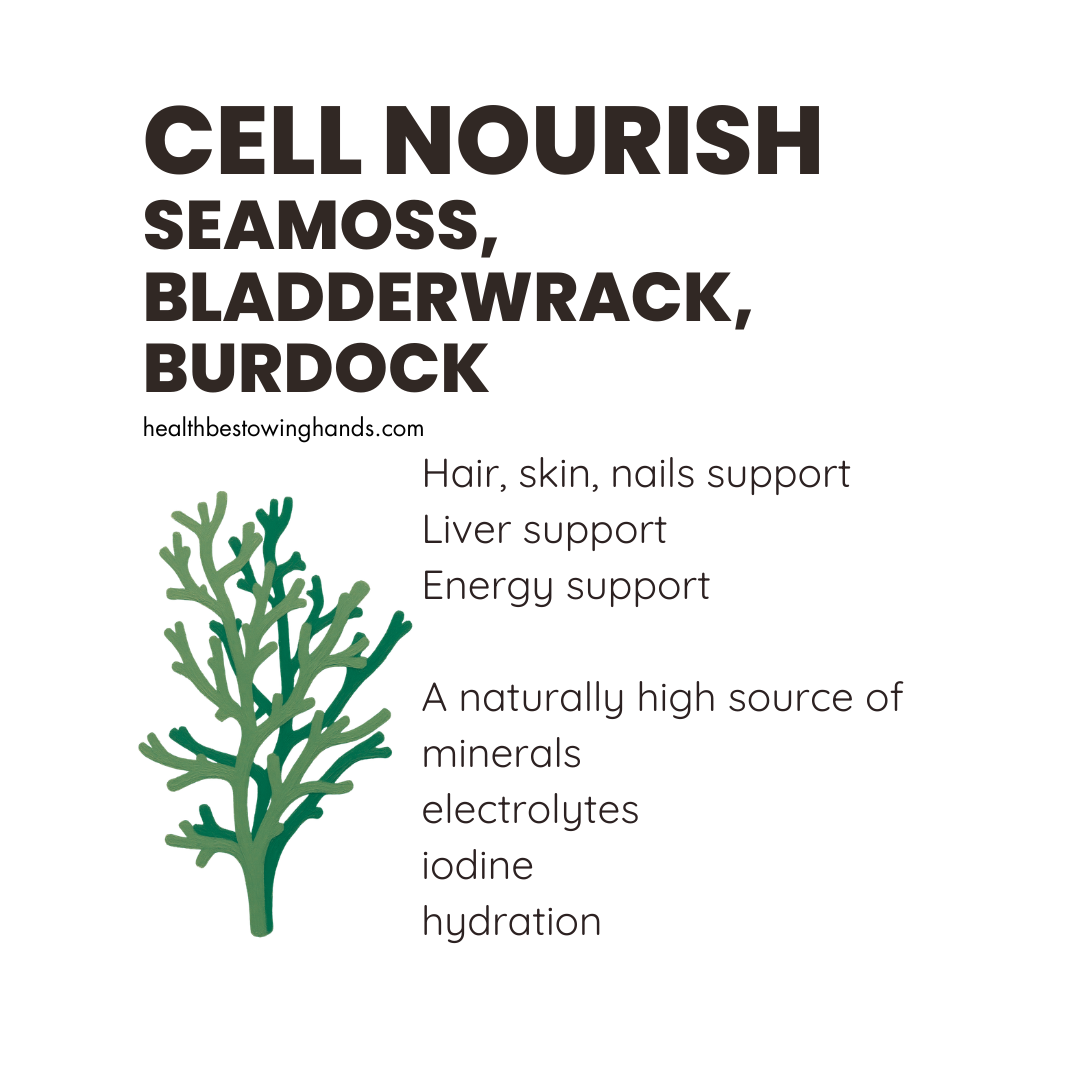 Cell Nourish Site Pic  (1).png