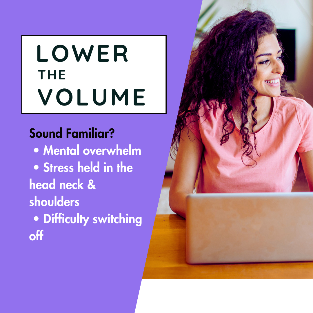 HBH Lower the Volume, Stress Formula Tincture, 50 ml