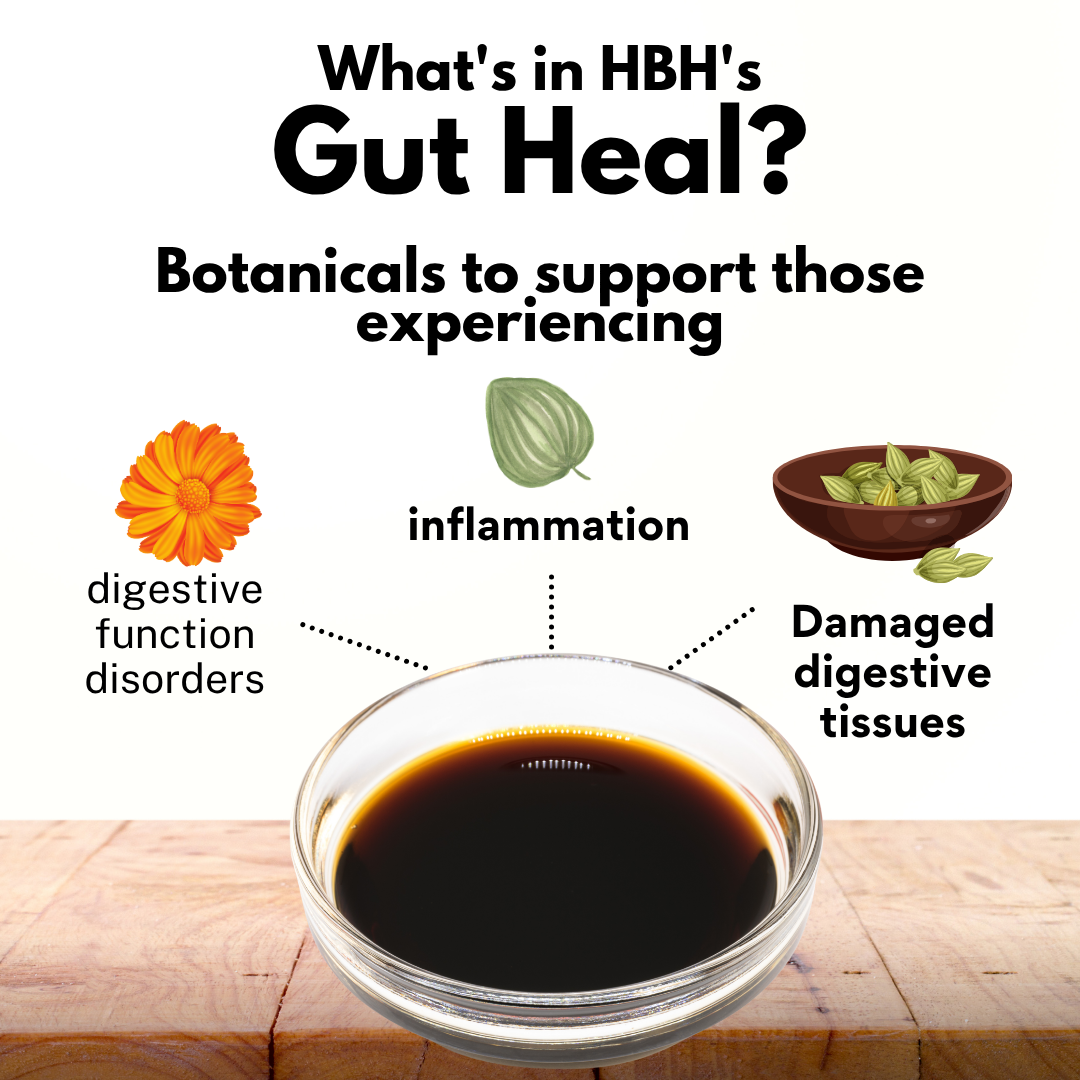 Gut Heal Site Pic new.png