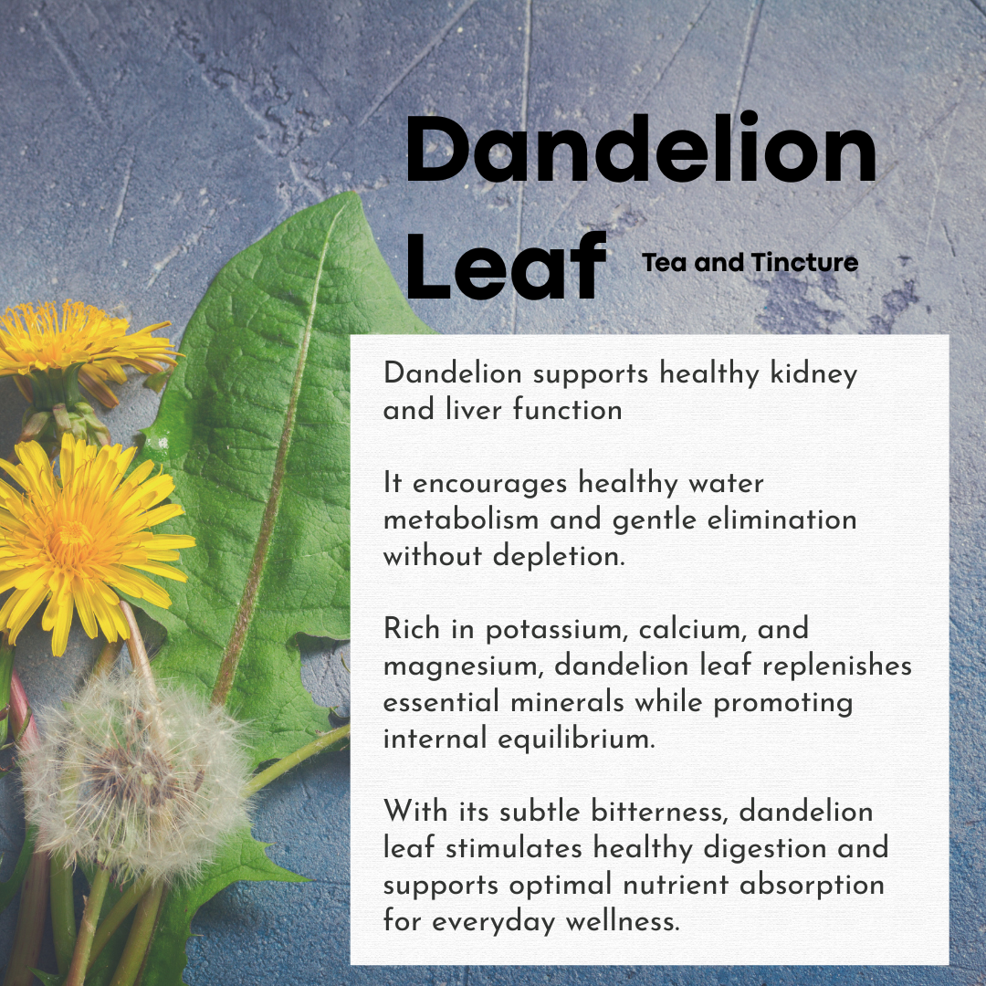 Sale! HBH Organic Dandelion Leaf Tincture and Glycerite 50 ml