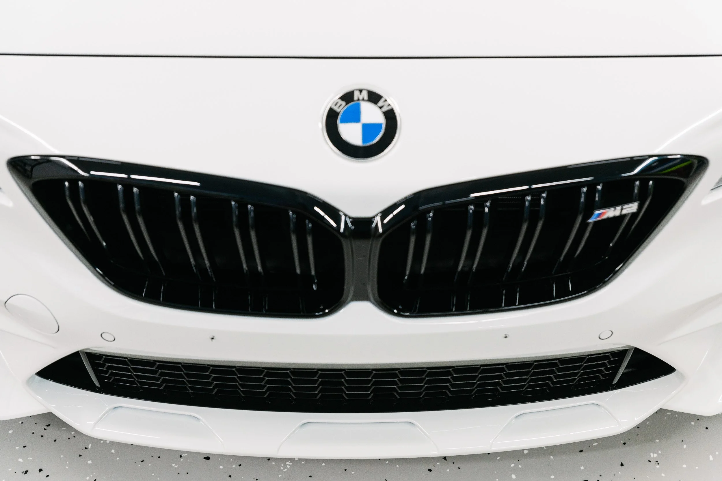 Wrapped_On_Vinyl_BMW_PPF-28.JPG