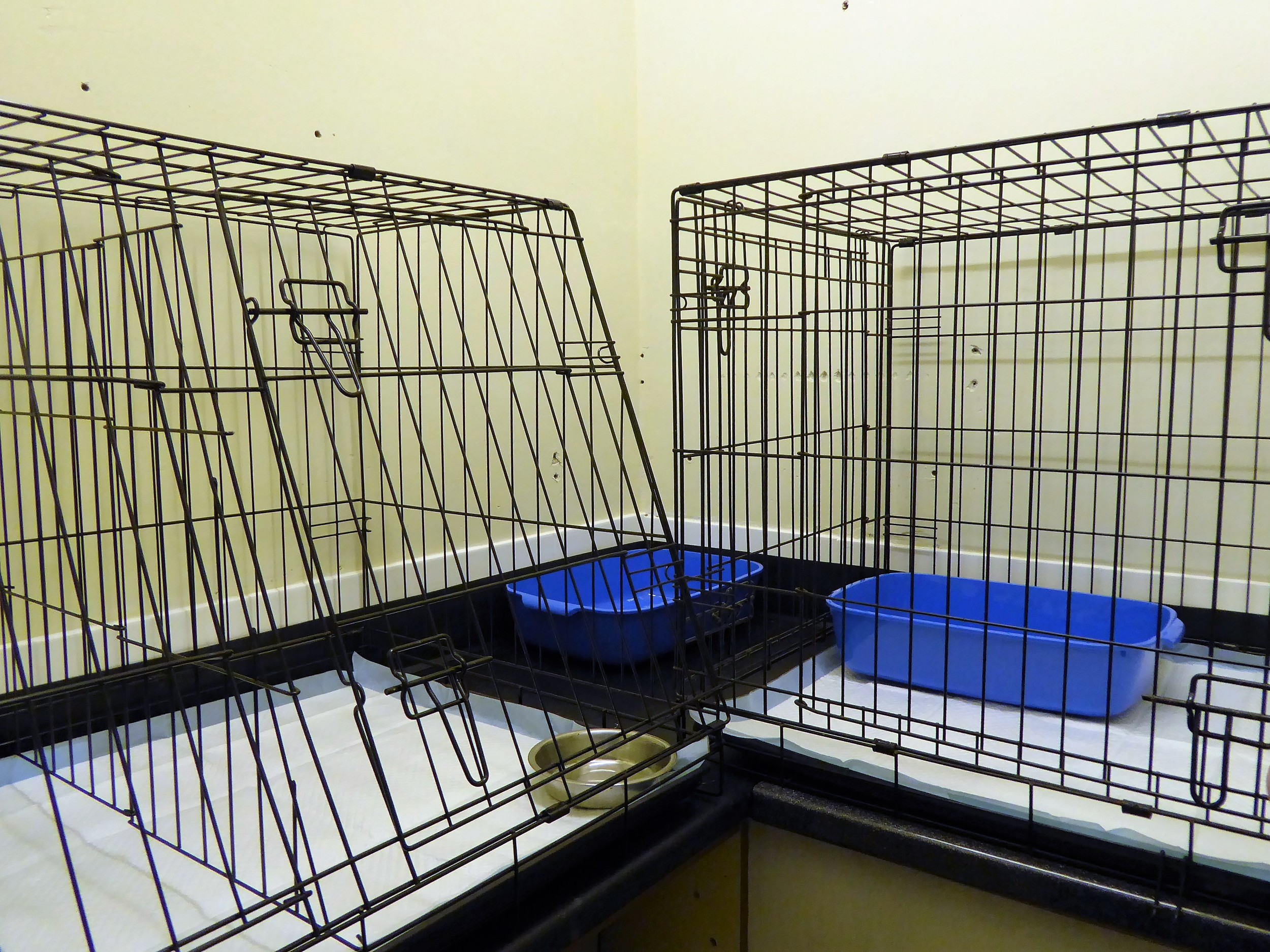  Our recent addition, the new Rabbit Ward. Solely for your smaller pets, so they feel safe.. 