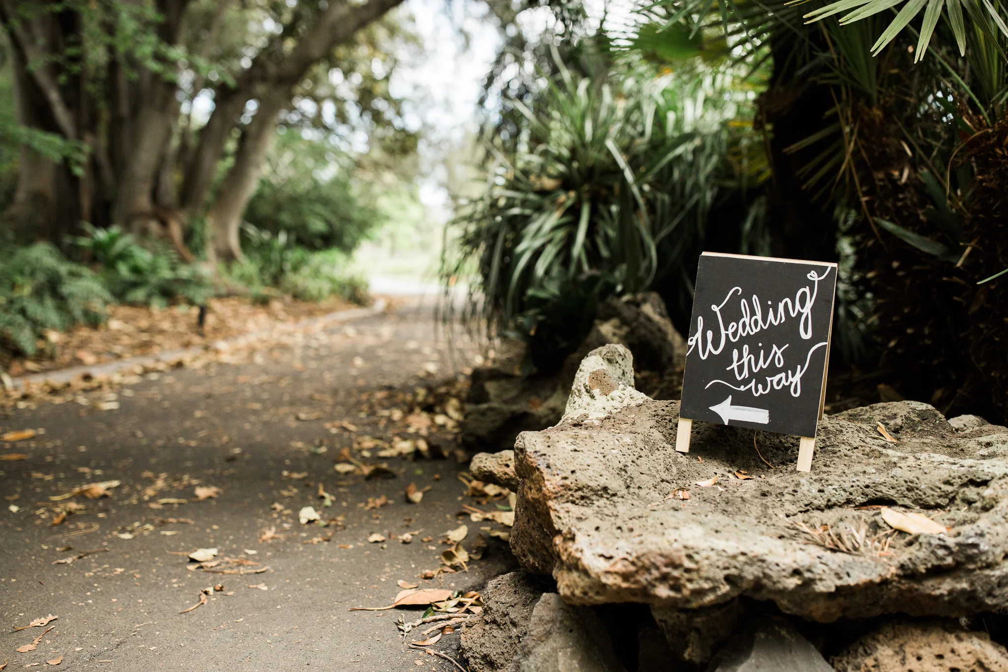 Melbourne Wedding Photography-10.jpg