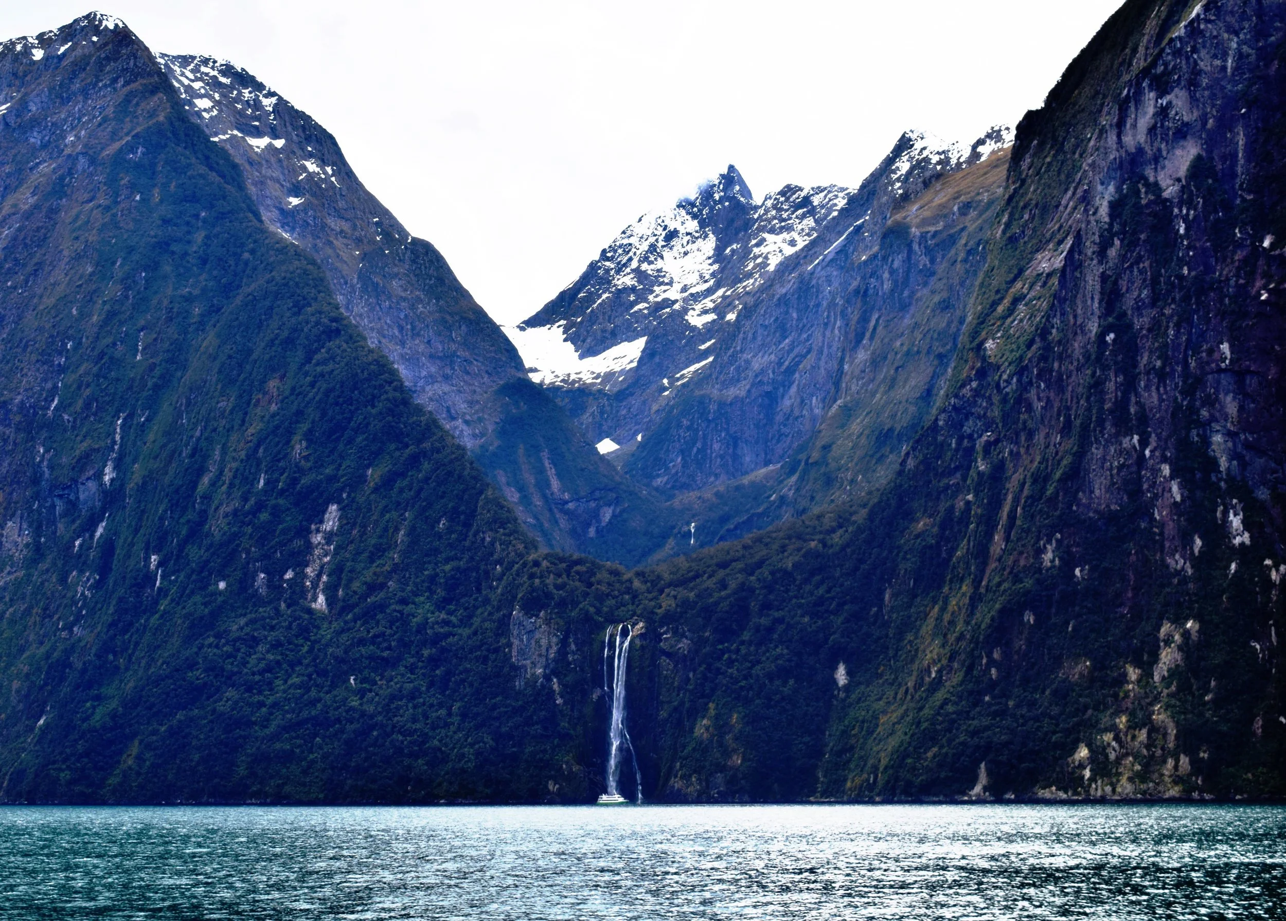IMG_3142.JPG