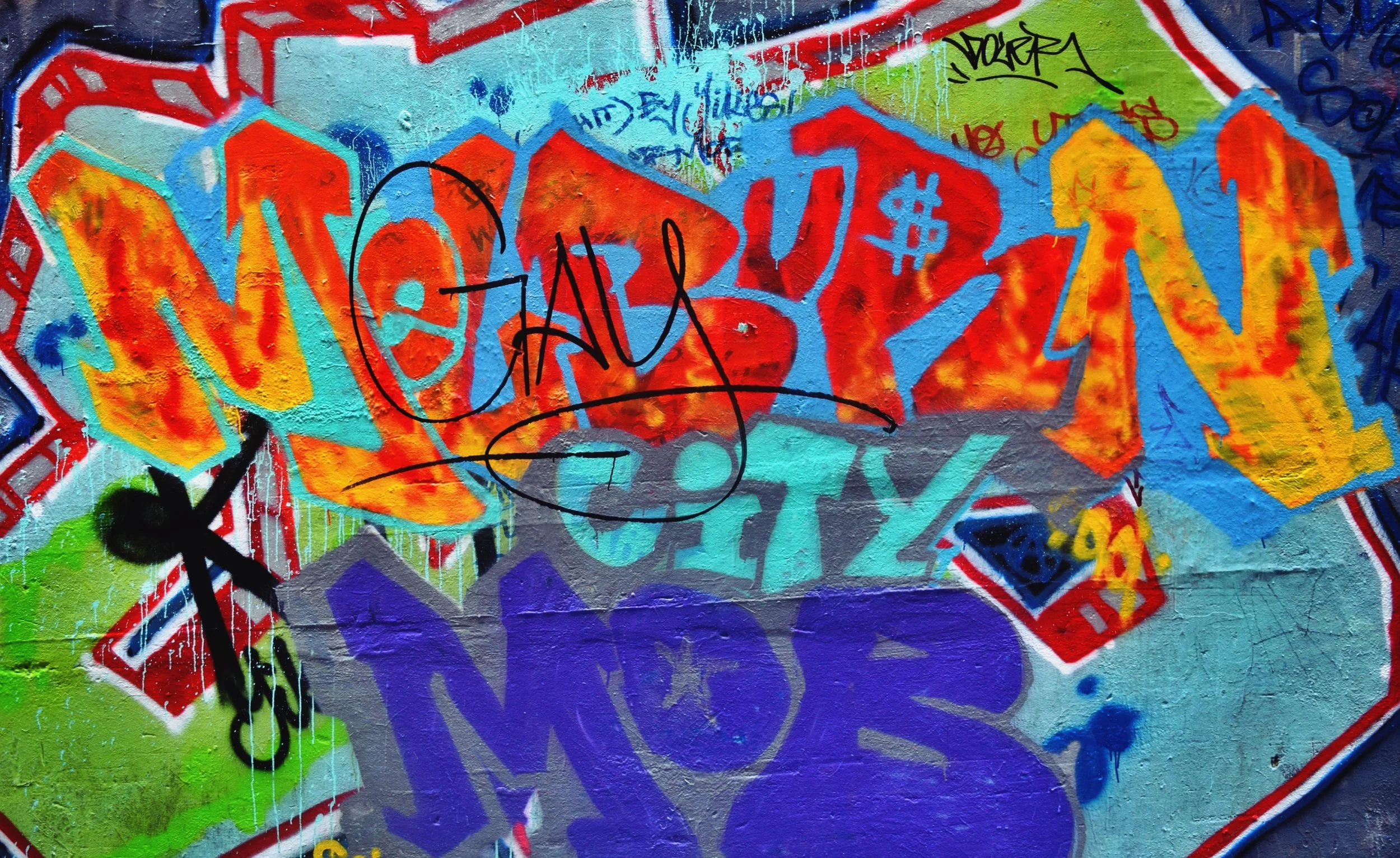IMG_4126.JPG
