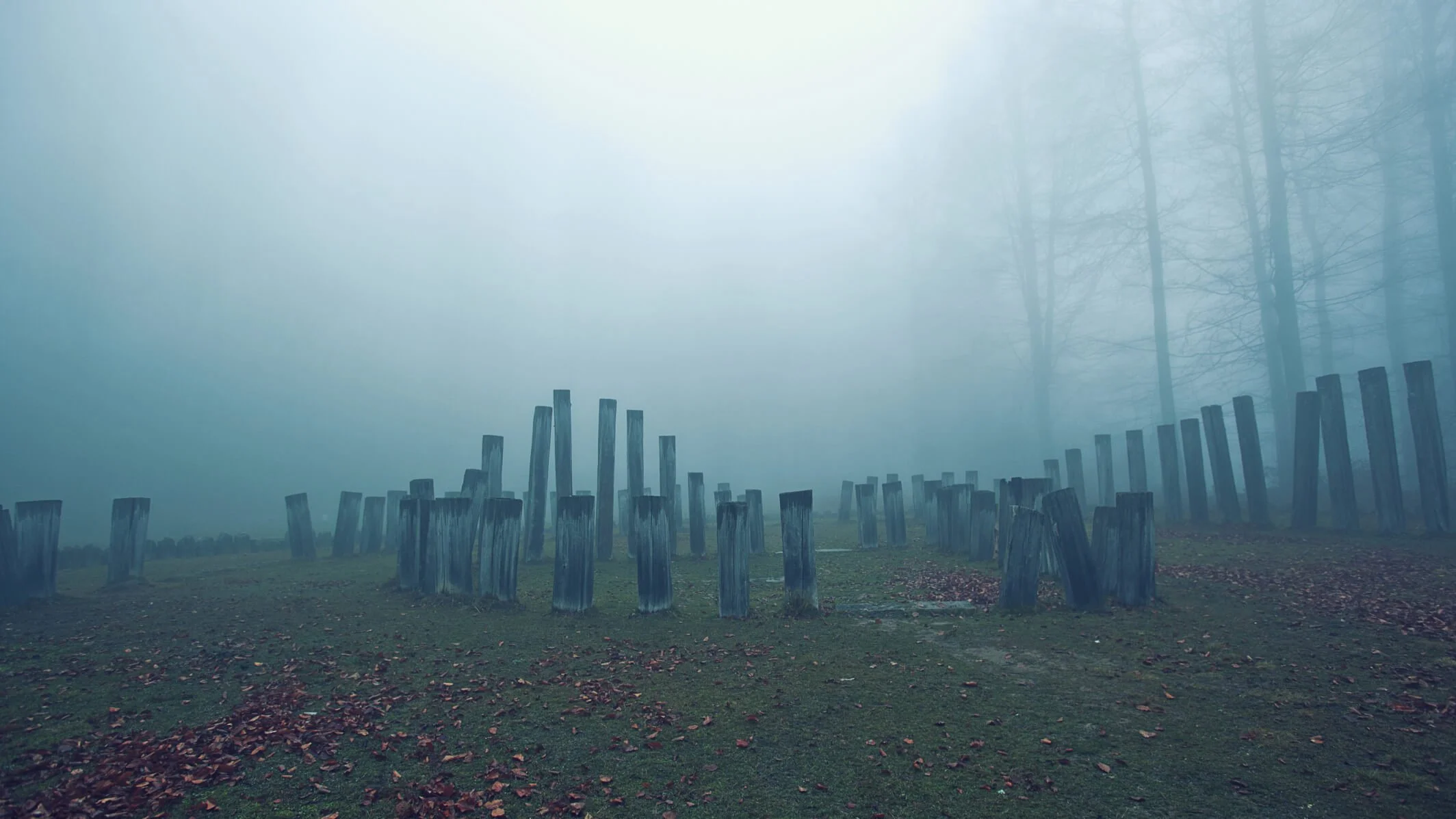 A foggy outdoor scene with a series of old, weathered wooden posts arranged in a pattern on a grassy field, with tall trees in the background.