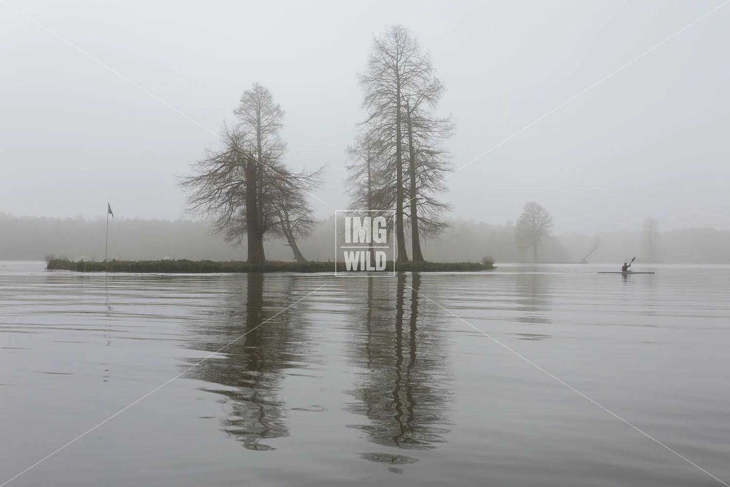 Calm Misty Canoeing.jpg