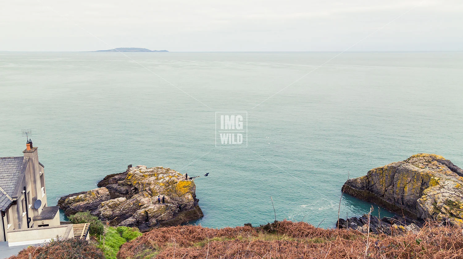 Cliff jumping-1 copy.jpg