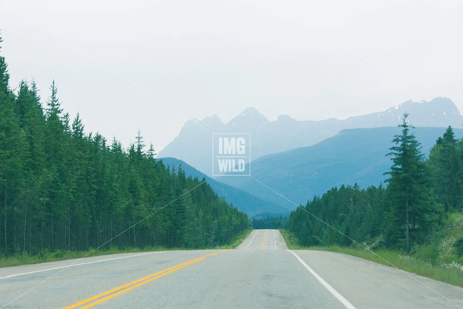 Empty Road Rockies1 copy.jpg
