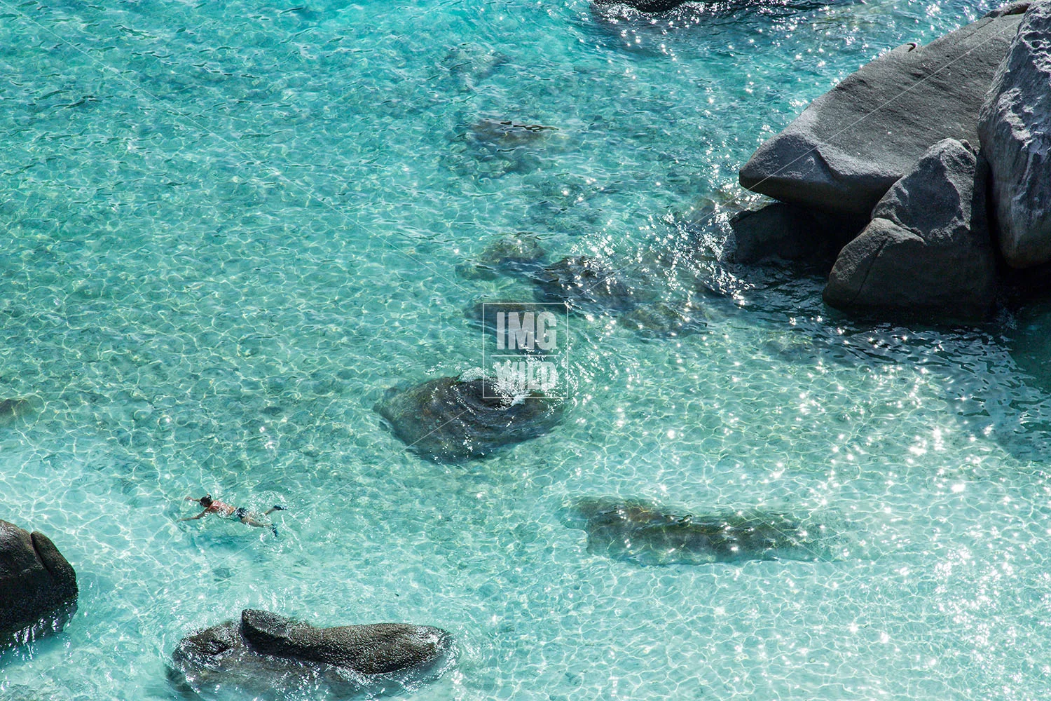 Similan Swimmer Phuket copy.jpg