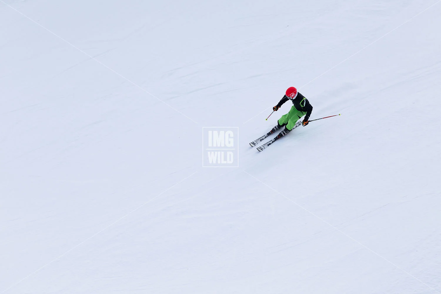 Ski Racing copy.jpg