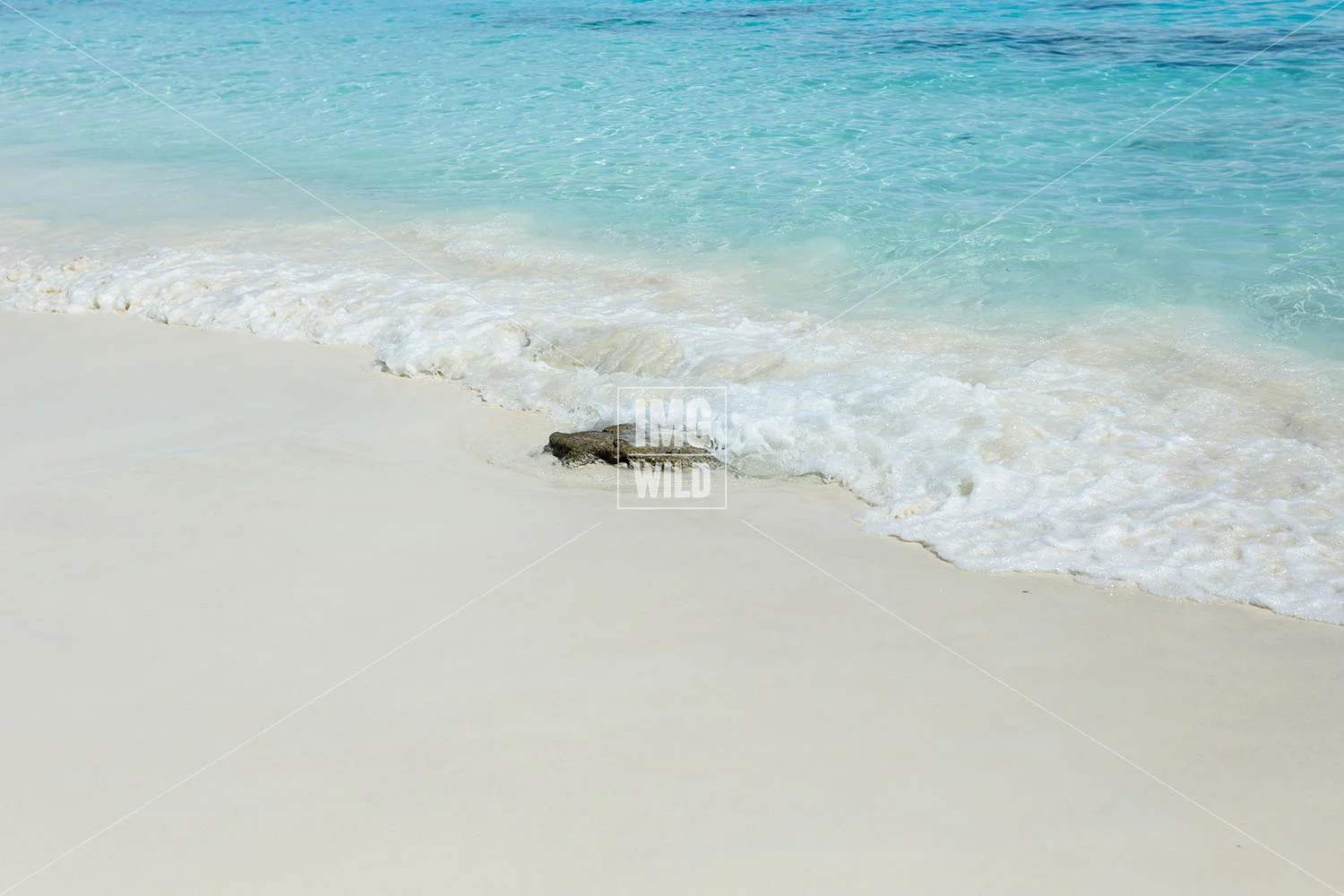 Similan Islands8 copy.jpg