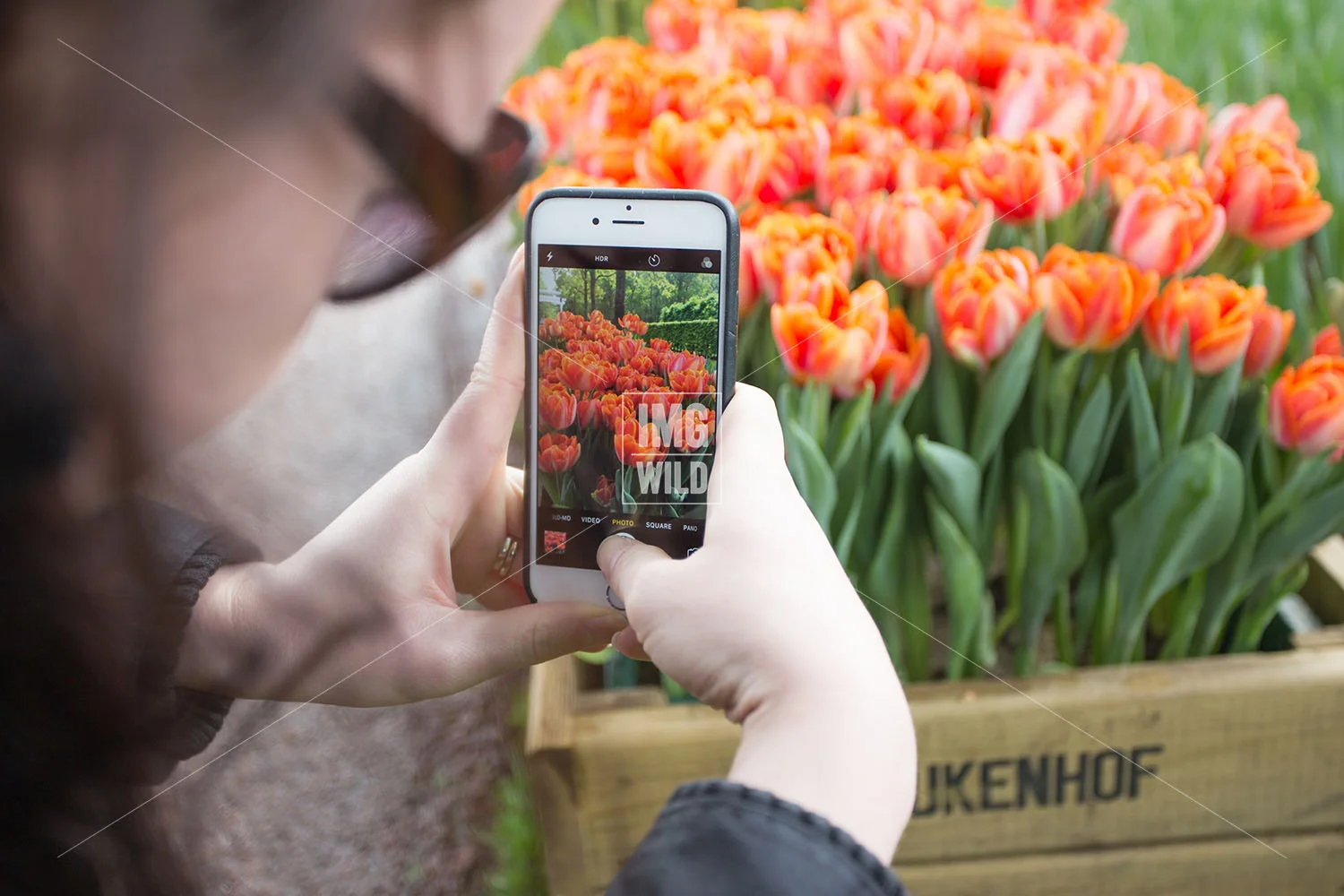 Keukenhof-2 copy.jpg