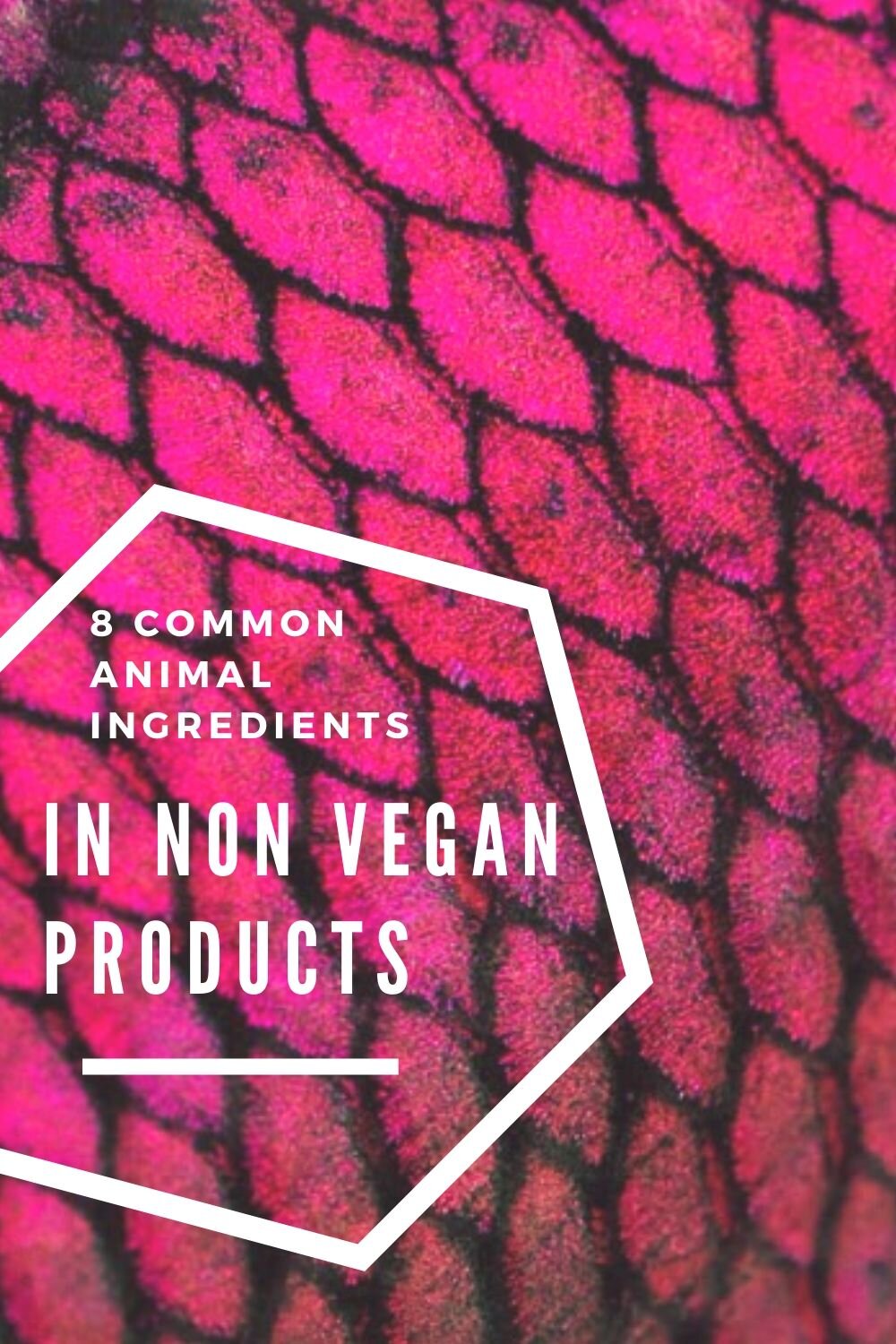8 common animal ingredients in non-vegan products