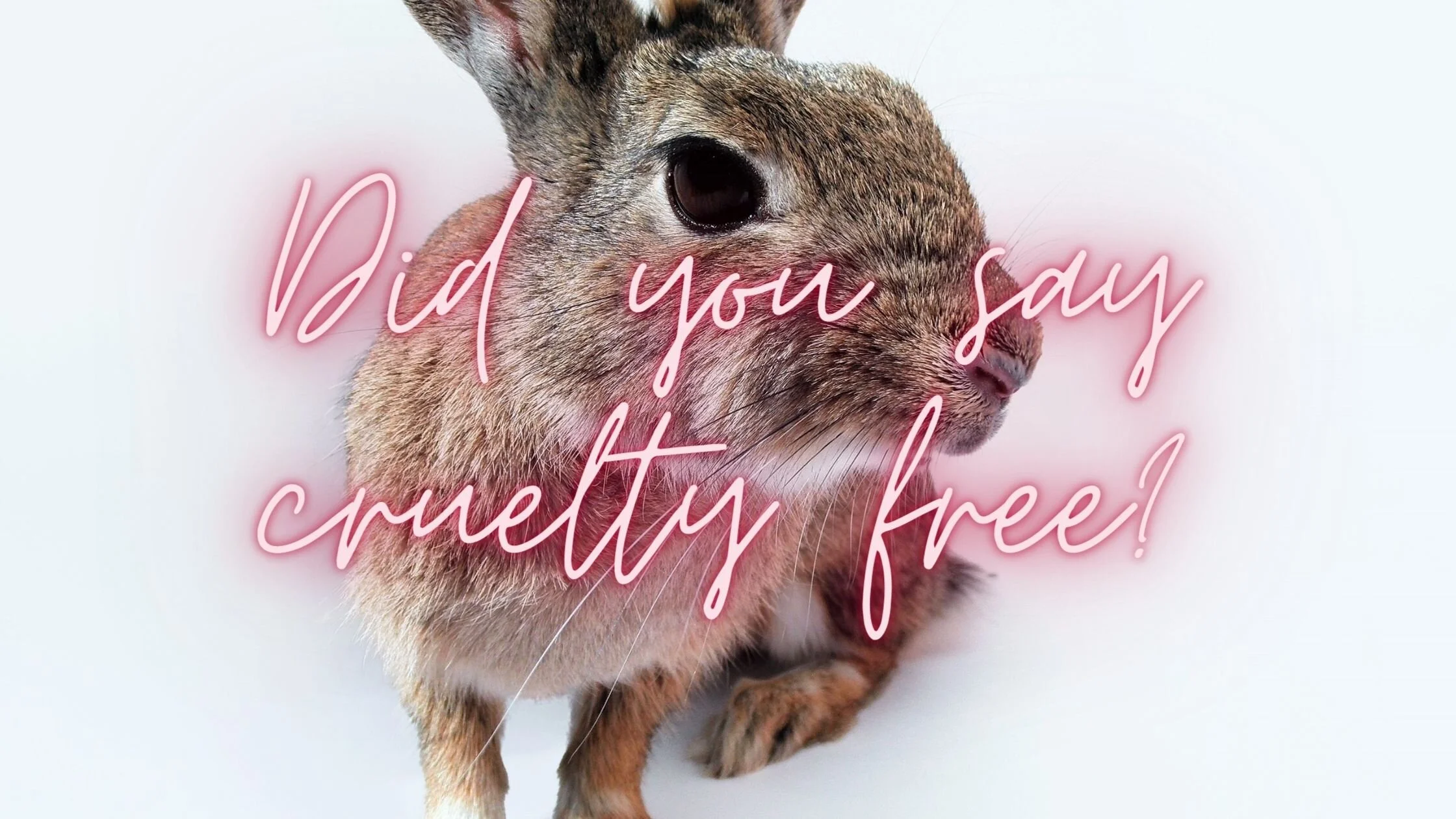 Trusting your vegan and cruelty free hair &amp; makeup artist