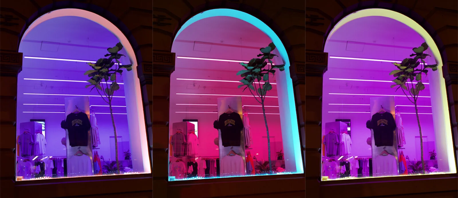 Window3.jpg