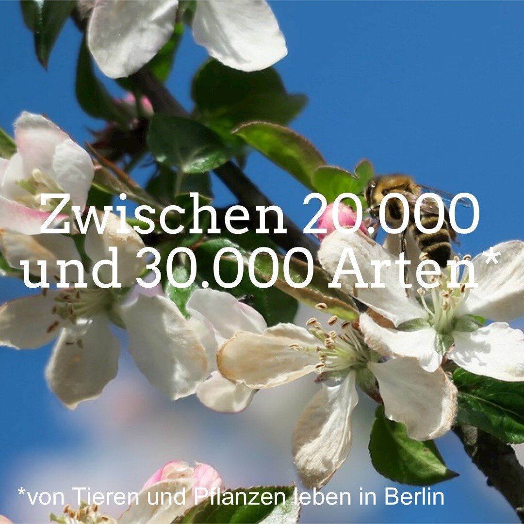 zwischen-20-00-instagram-bild-3.jpg