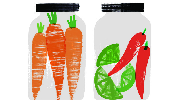 Papi's Pickles, illustration by Charlotte Trounce