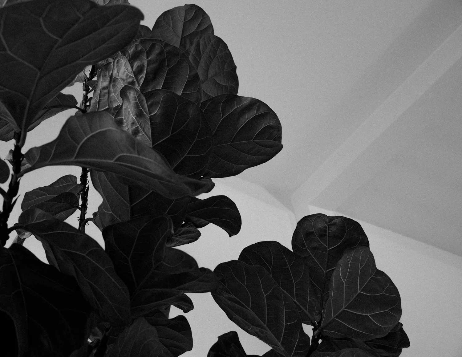 untitled-22.jpg
