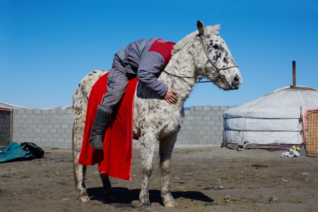 SPOTTEDHORSEHEADLESS-KJD.jpeg