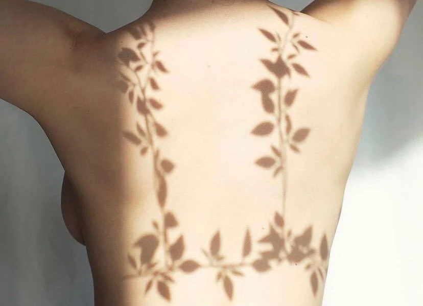 Beautiful shadow play by @jillburro_w