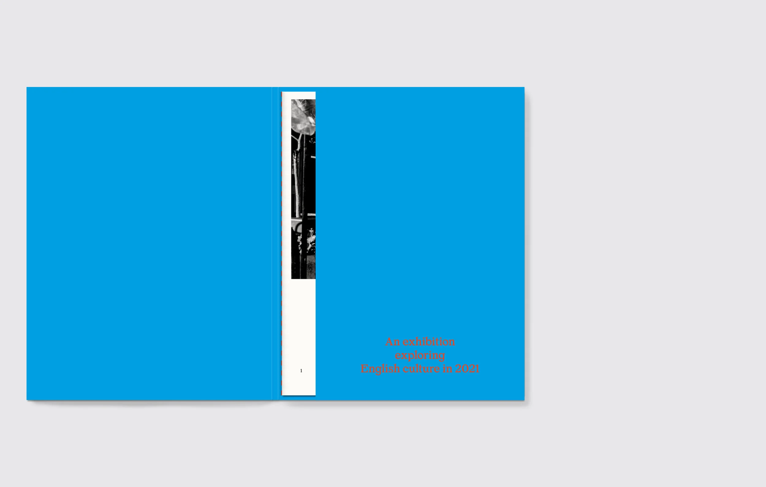 Cover_open 1.jpg