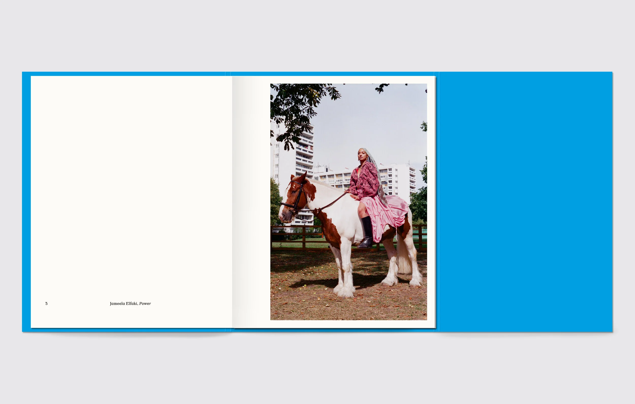 Cover_spread 2.jpg