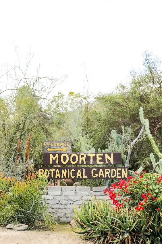 Credit Image: http://www.saltycanary.com/instagram-tour-palm-springs/