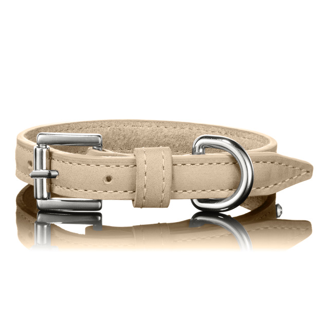 Dog collar Tan