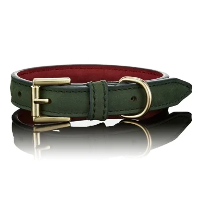 Green Christmas Dog Collar 