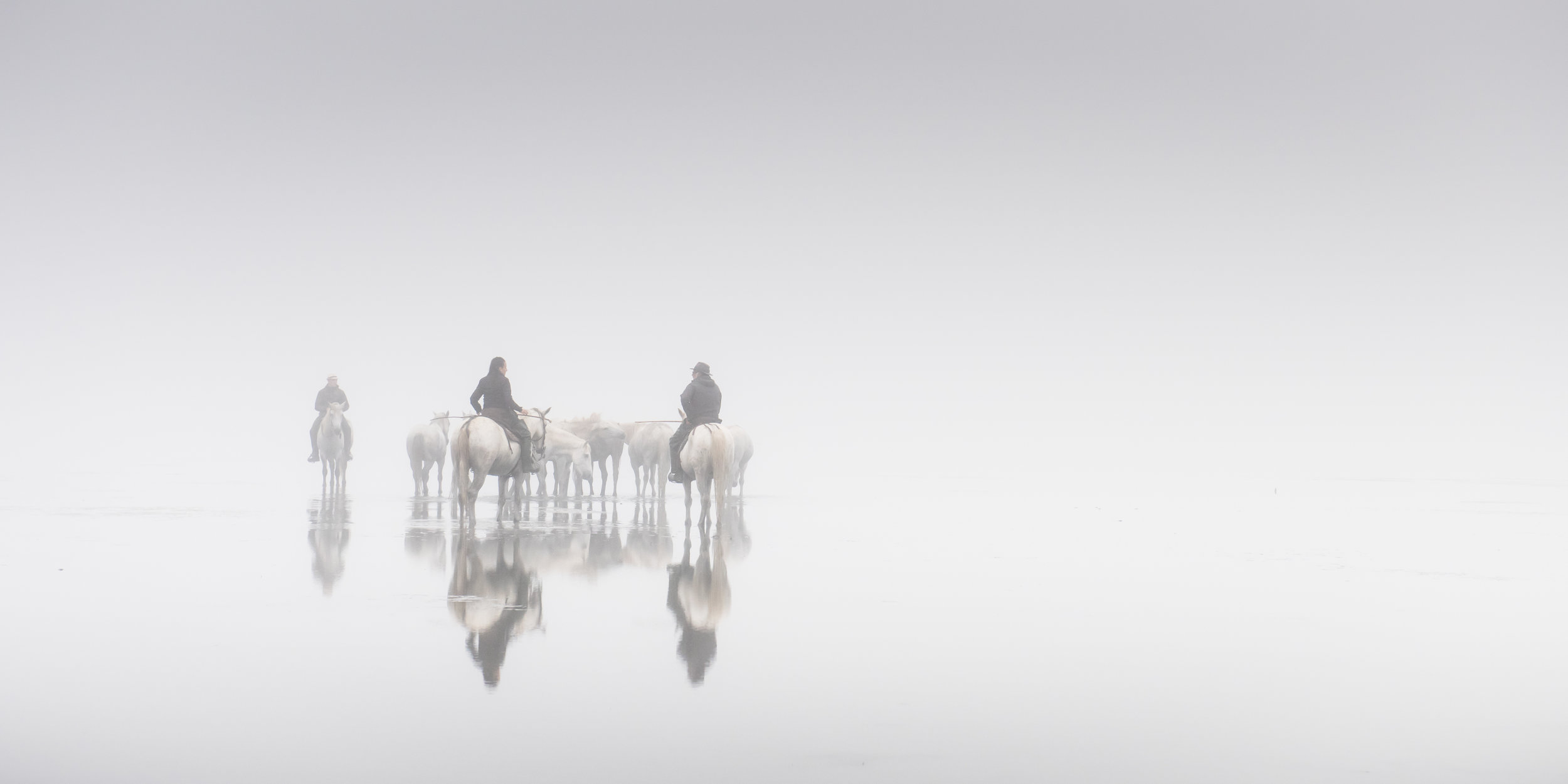 Reflections of the Camargue