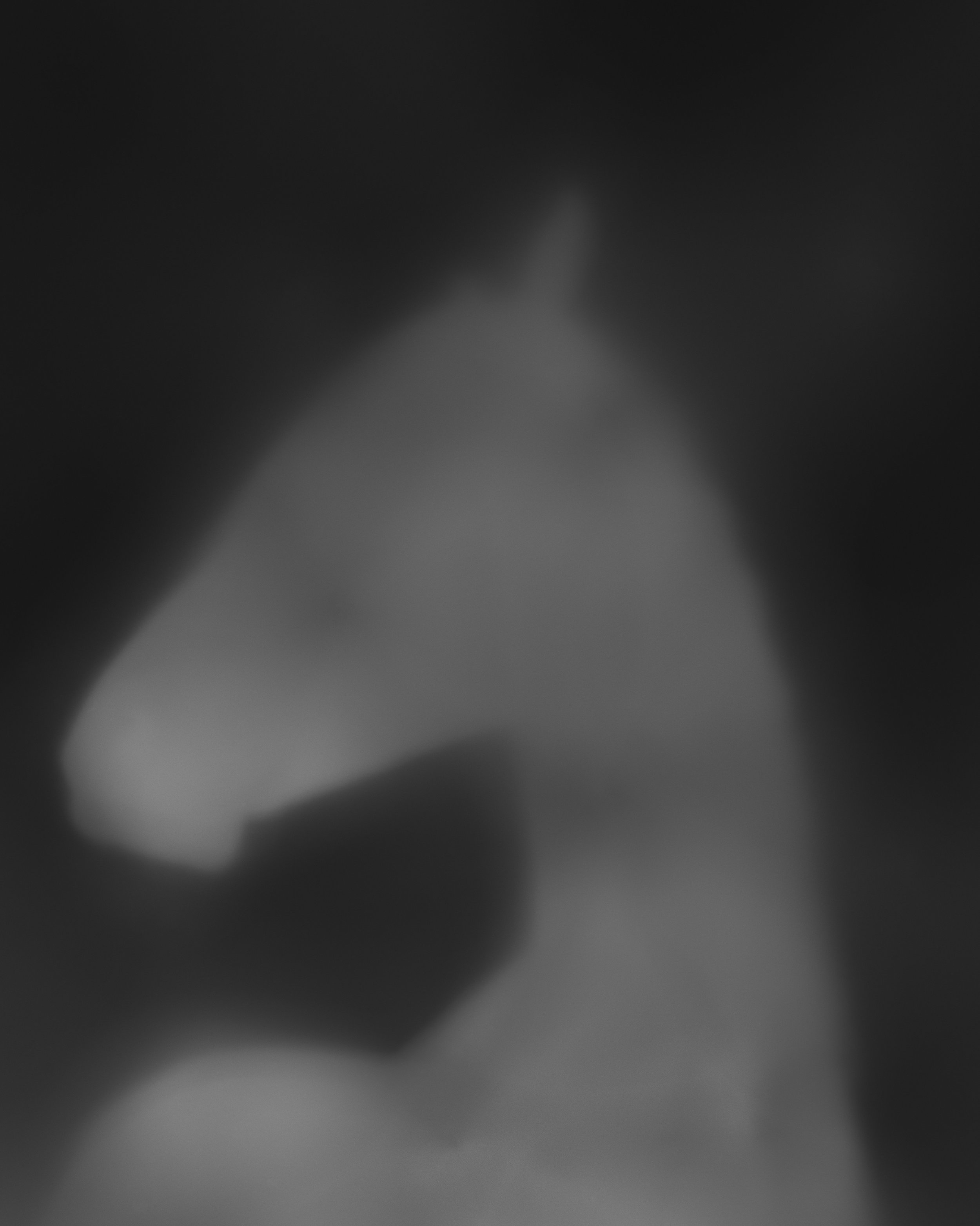 Equus Umbra II