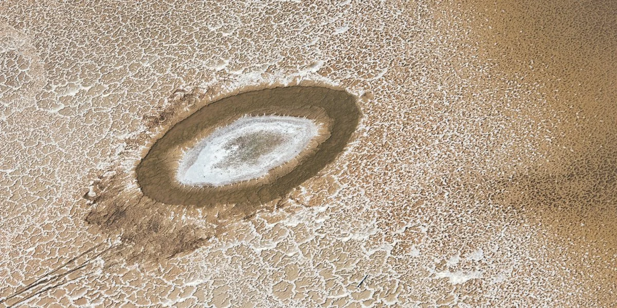 Ovoid