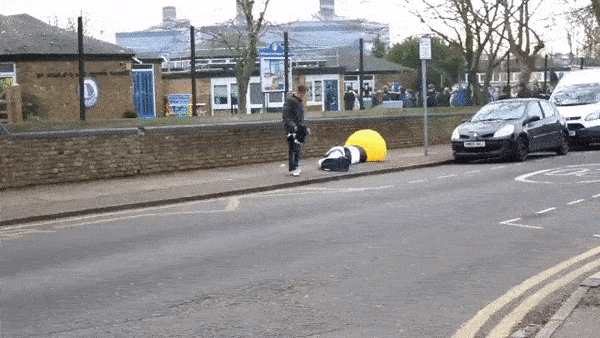 zebra_gif.gif