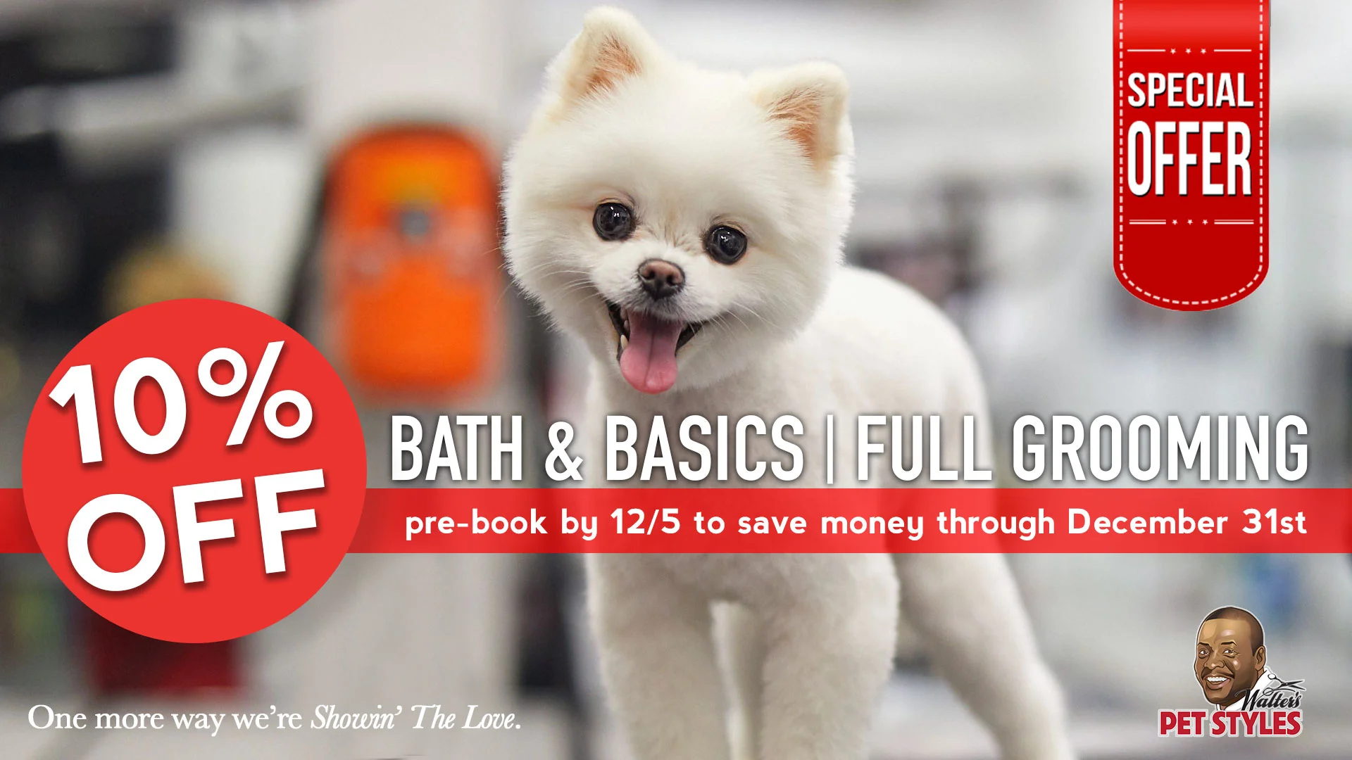 walters pet styles holiday special dog grooming.jpg