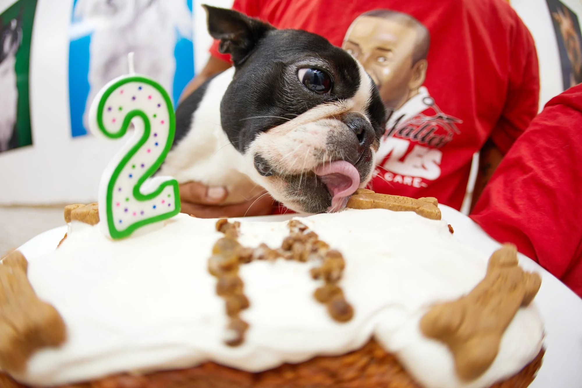 18_HamiltonBirthday2_07-web.jpg