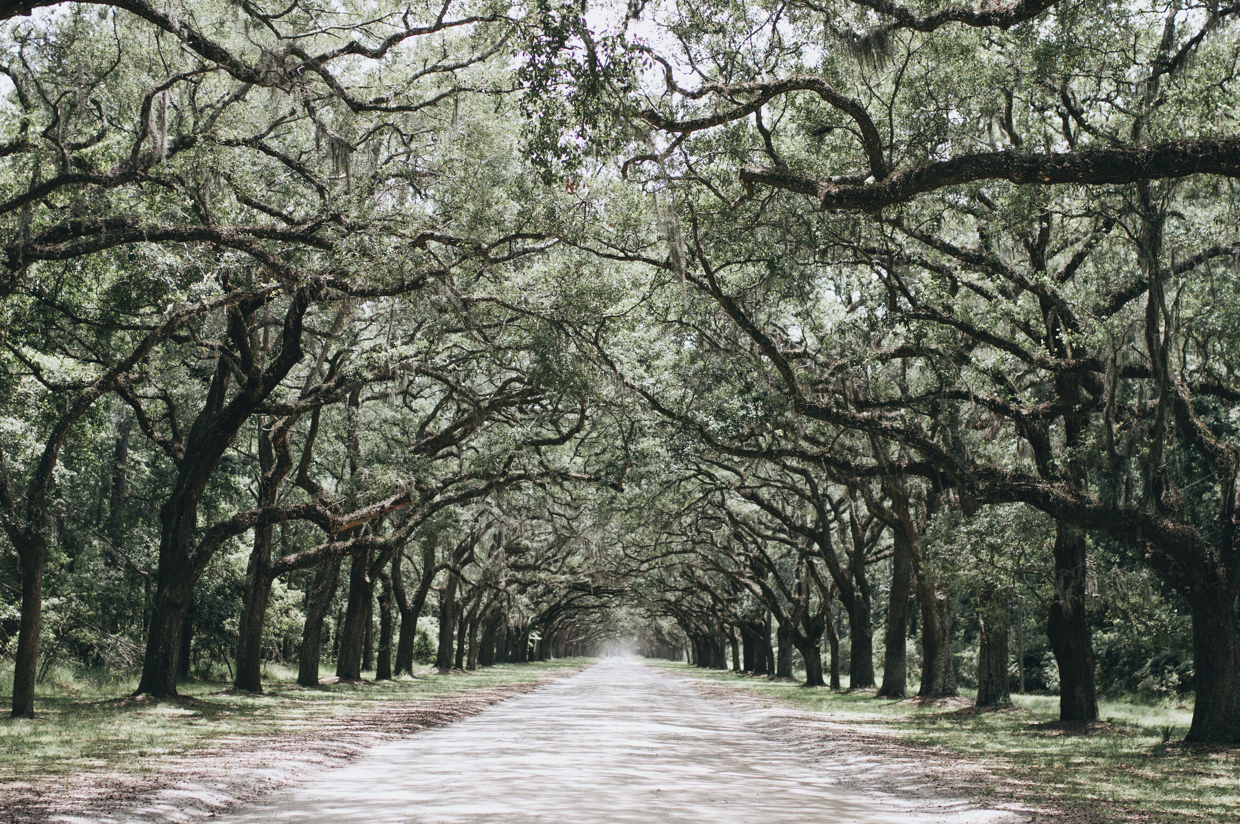 Wormsloe-Bonaventure---EDITS-7-1.jpg